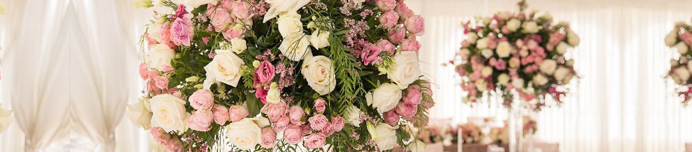 The Cupule Wedding Venue