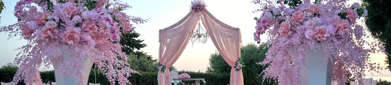 The Cupule Wedding Venue