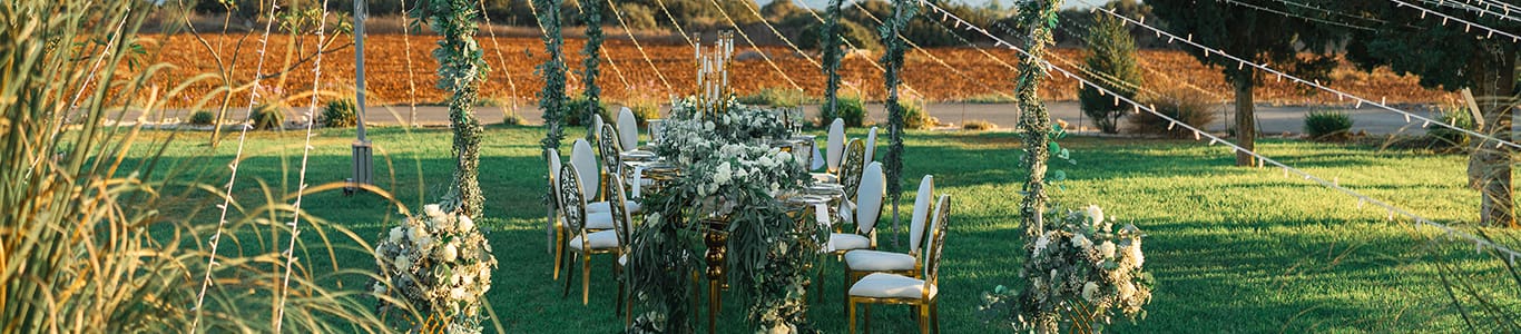 The Cupule Wedding Venue