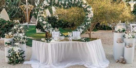 The-Benevolent-Cover Photo